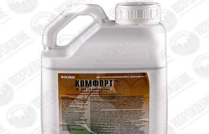 พิษแห่งความสบายใจ