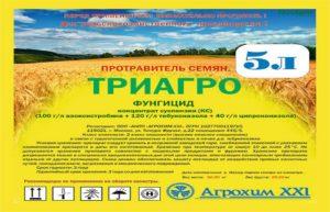 คำแนะนำในการใช้และการผสมสารฆ่าเชื้อรา Triagro ขนาดยาและสารที่คล้ายกัน