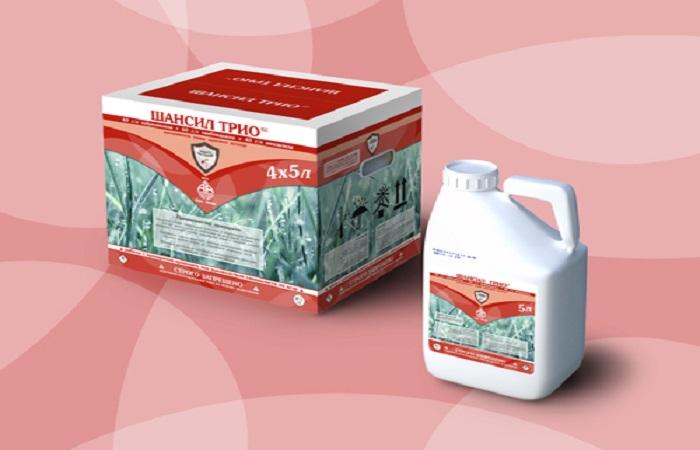 ชานซิล ทรีโอ