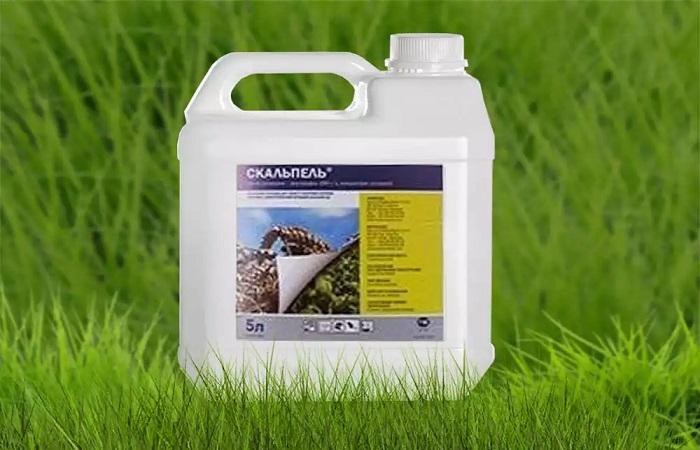 ขวดมันใหญ่