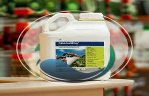 Mode d'emploi et composition du fongicide Scalpel, dosage et analogues