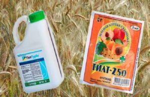 Mode d'emploi et composition de Tilt, dosage du fongicide et de ses analogues