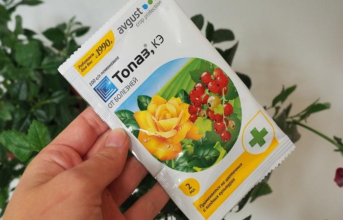 ยารักษาโรค