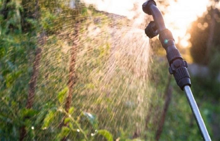 ฉีดพ่นด้วยสารละลาย