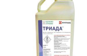 คำแนะนำในการใช้และการผสมสารฆ่าเชื้อรา Triada ปริมาณและสารที่คล้ายกัน