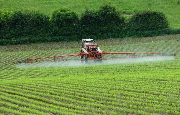 ฉีดพ่นพืชผล