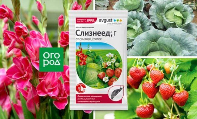 คนกินทาก