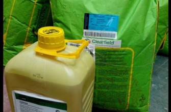 อิมาซาม็อกซ์