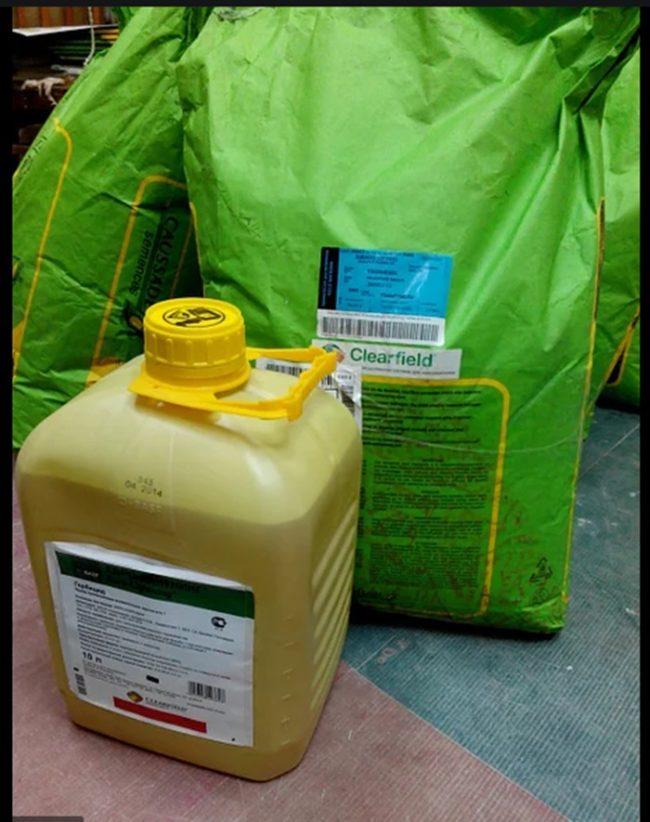 อิมาซาม็อกซ์