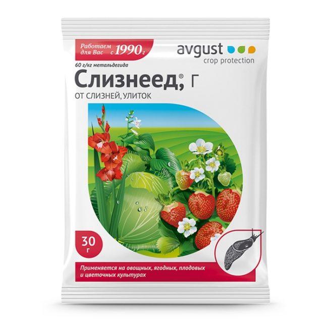 คนกินทาก