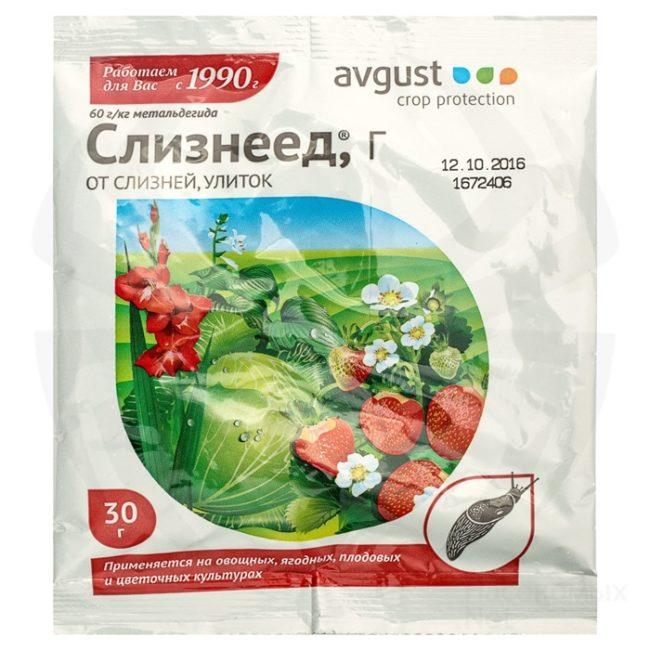 คนกินทาก