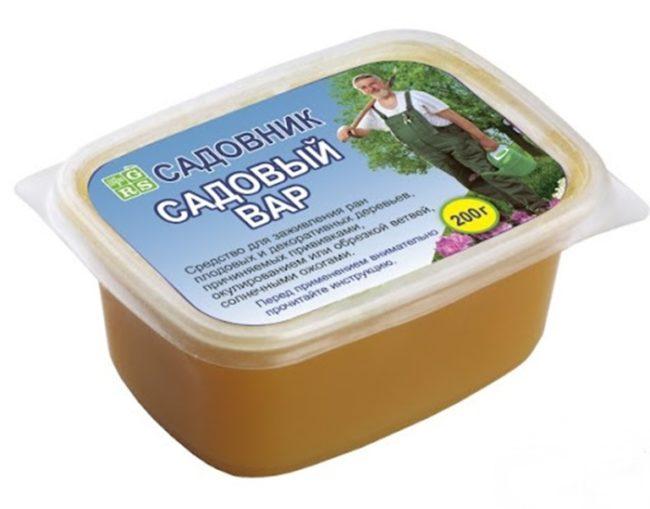 พันธุ์ไม้สวน