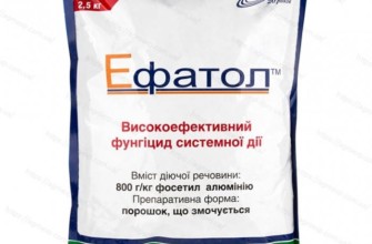 เอฟาทอล