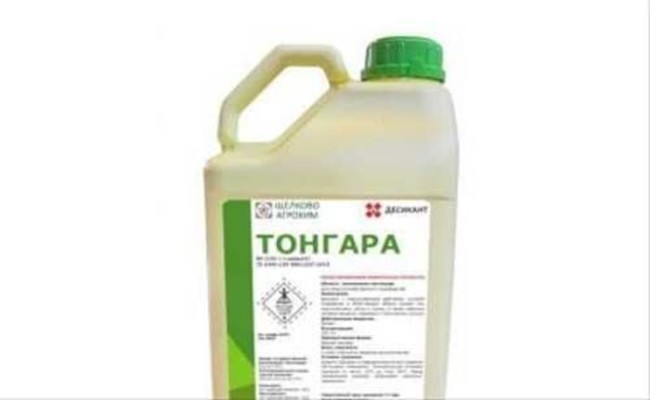 สารดูดความชื้น Tongara