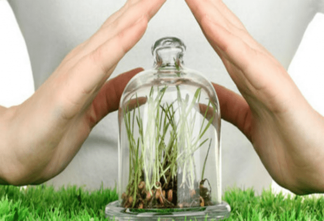 การเตรียมทางชีวภาพ