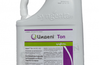 ซิเดลีท็อป