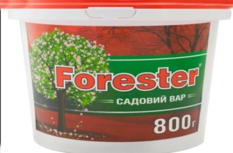 พันธุ์ไม้สวน