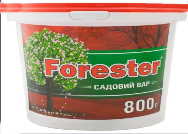 พันธุ์ไม้สวน