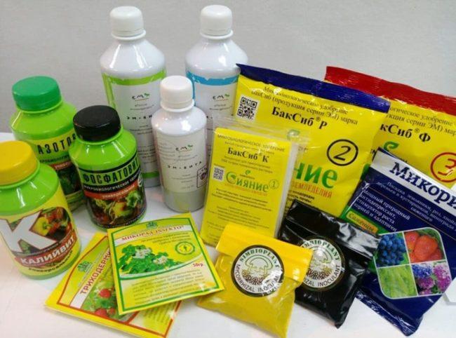 ภาพถ่ายการเตรียมทางชีวภาพ