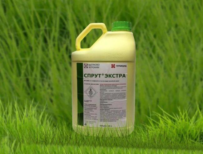 สารกำจัดวัชพืชปลาหมึก