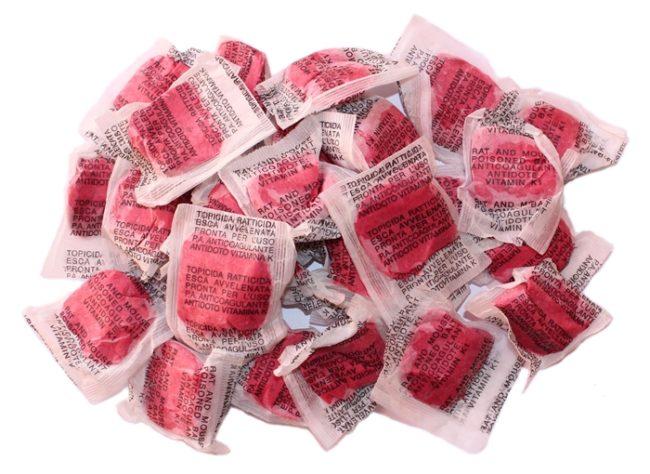 มูริน ฟอร์เต้