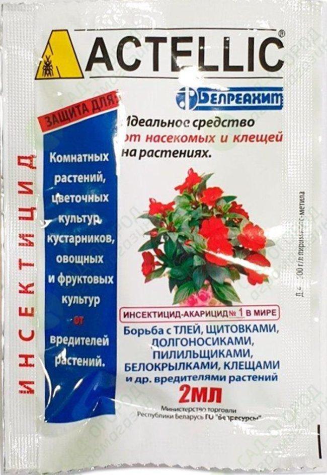 แอคเทลลิค