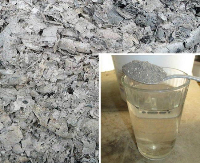 วิธีการใช้ขี้เถ้าในสวนของคุณ