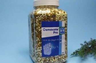 ออสโมโค้ท