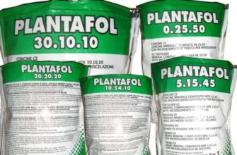 แพลนตาฟอล