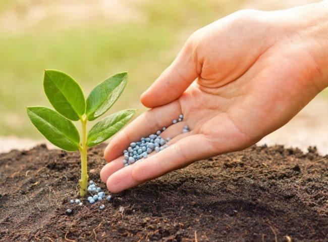 ปุ๋ยไนโตรเจน