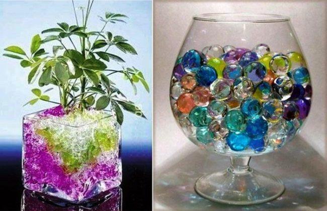 hydrogel pour plantes