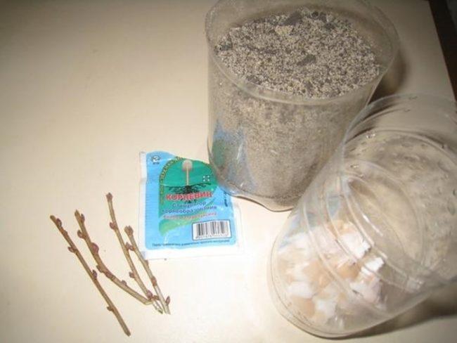 คำแนะนำในการใช้คอร์เนวิน