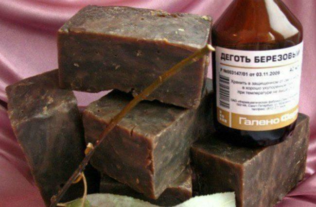 น้ำมันเบิร์ชในสวนเพื่อควบคุมศัตรูพืช