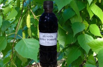 น้ำมันเบิร์ชในสวนเพื่อควบคุมศัตรูพืช