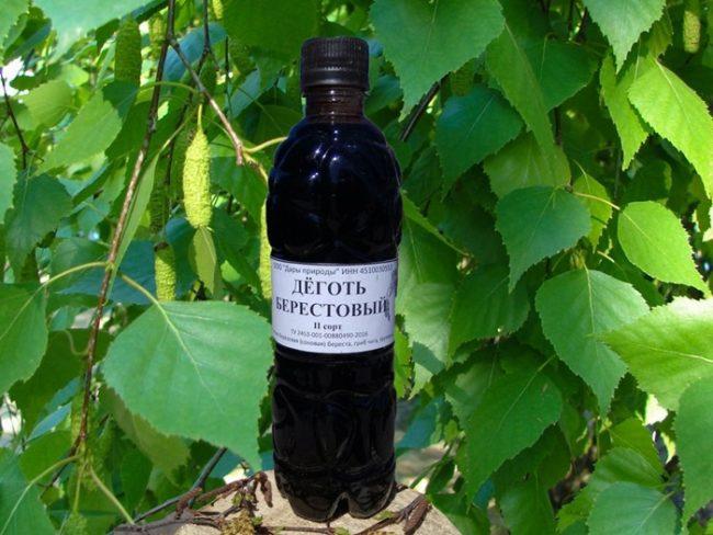 น้ำมันเบิร์ชในสวนเพื่อควบคุมศัตรูพืช