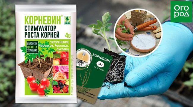 คำแนะนำในการใช้คอร์เนวิน