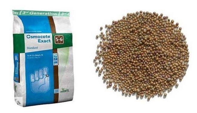 ออสโมโค้ท