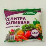 nitrate de potassium