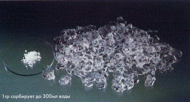 hydrogel pour plantes