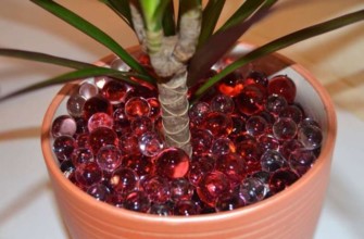 ไฮโดรเจลสำหรับพืช