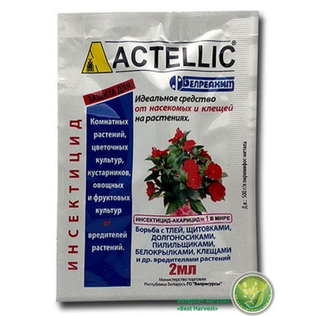 แอคเทลลิค