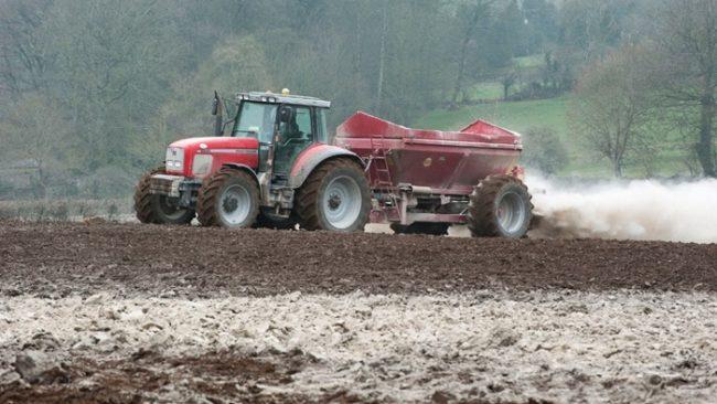 การใส่ปูนขาวในดิน