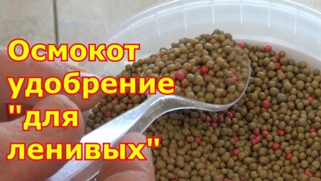 ออสโมโค้ท