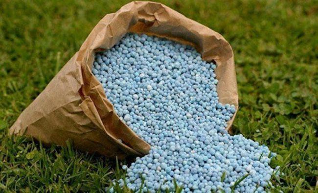 ปุ๋ยไนโตรเจน