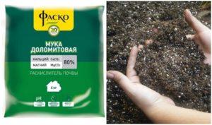 คำแนะนำในการใช้แป้งโดโลไมต์ ส่วนประกอบและปริมาณการใช้ต่อ 1 ตร.ม.