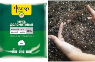 แป้งโดโลไมต์