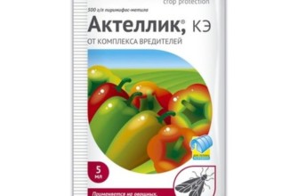 แอคเทลลิค