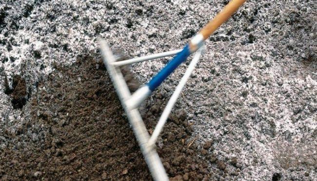 การใส่ปูนขาวในดิน