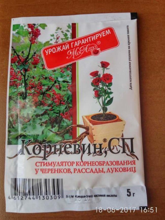 คำแนะนำในการใช้คอร์เนวิน