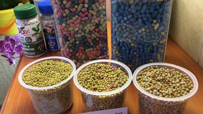 ออสโมโค้ท